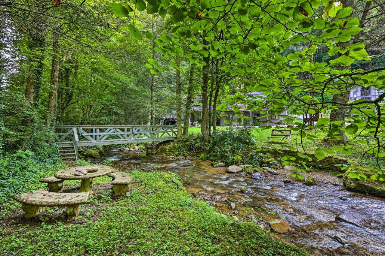Roan Mountain Creekside Cabin Hike And Fish! Extérieur photo