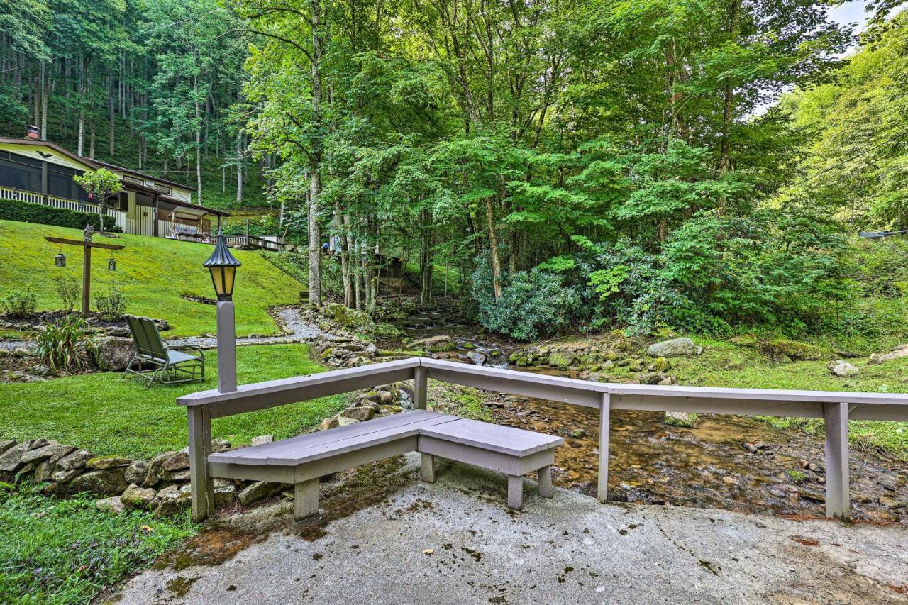 Roan Mountain Creekside Cabin Hike And Fish! Extérieur photo