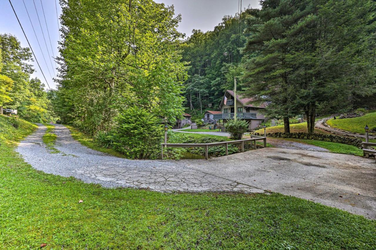Roan Mountain Creekside Cabin Hike And Fish! Extérieur photo