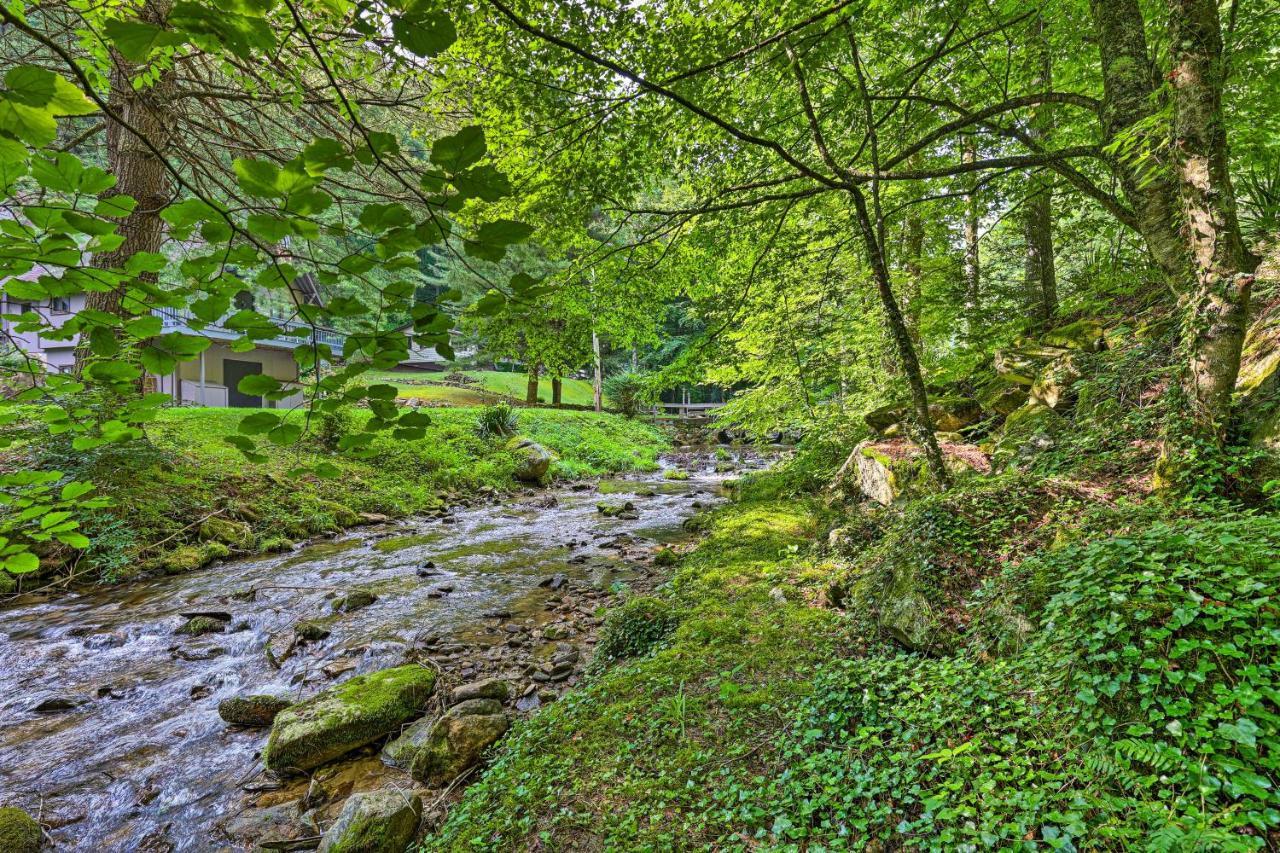 Roan Mountain Creekside Cabin Hike And Fish! Extérieur photo