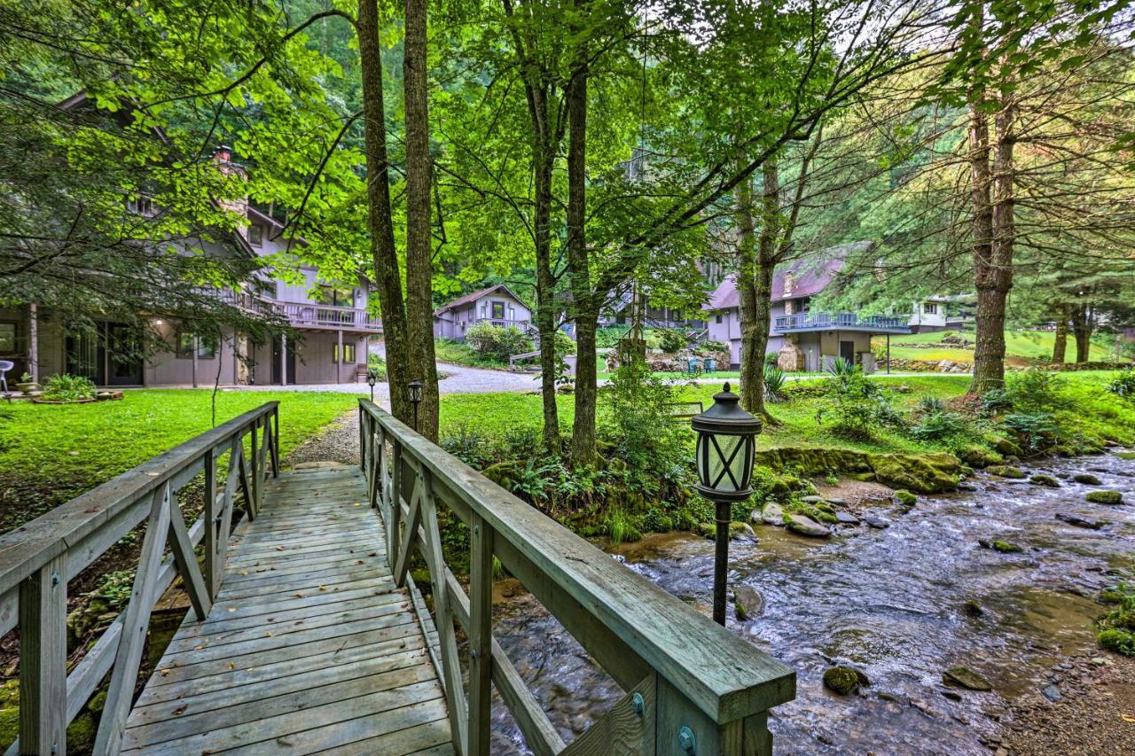 Roan Mountain Creekside Cabin Hike And Fish! Extérieur photo