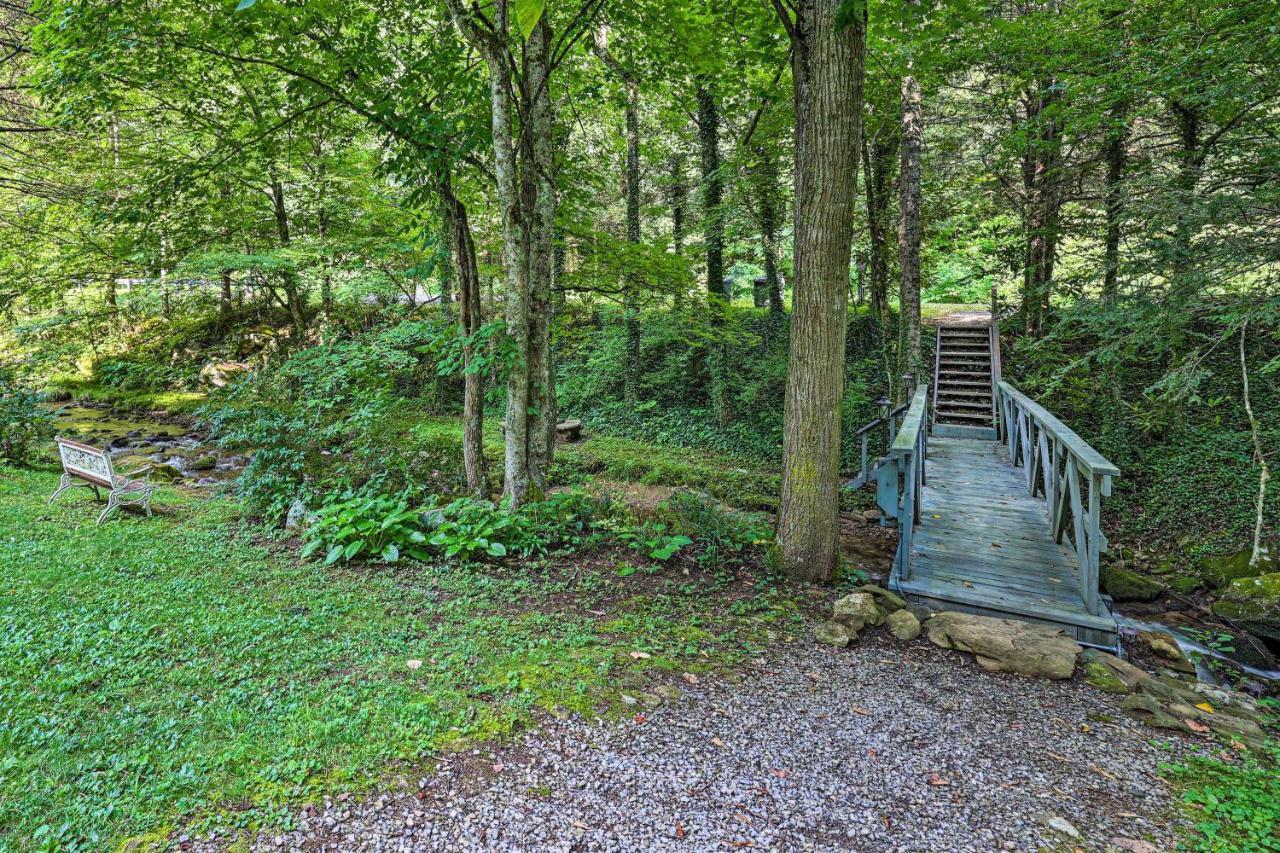 Roan Mountain Creekside Cabin Hike And Fish! Extérieur photo
